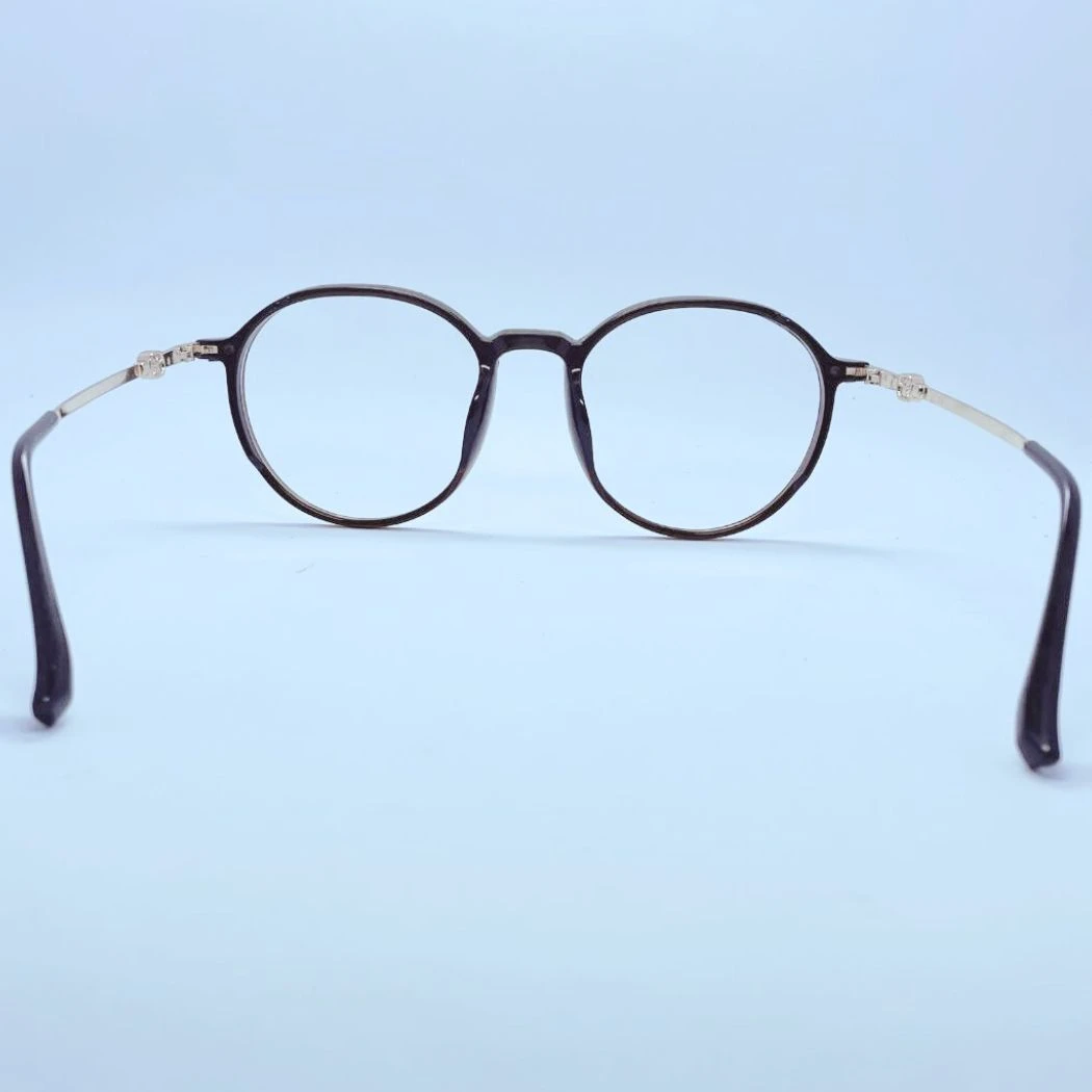 Vision 8011 eyeglasses in Brown – back view