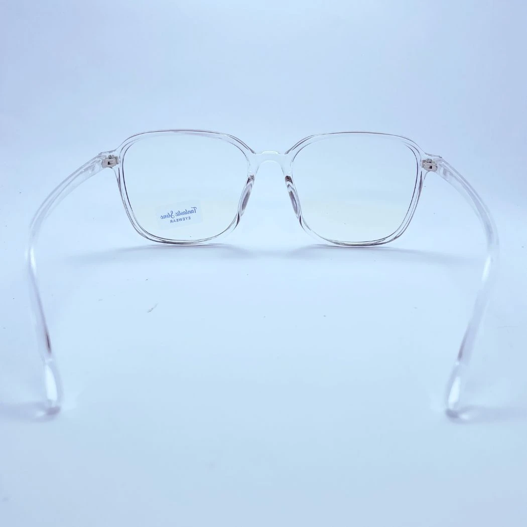 Fantastic stone 20380 eyeglasses in Transparent Red – back view
