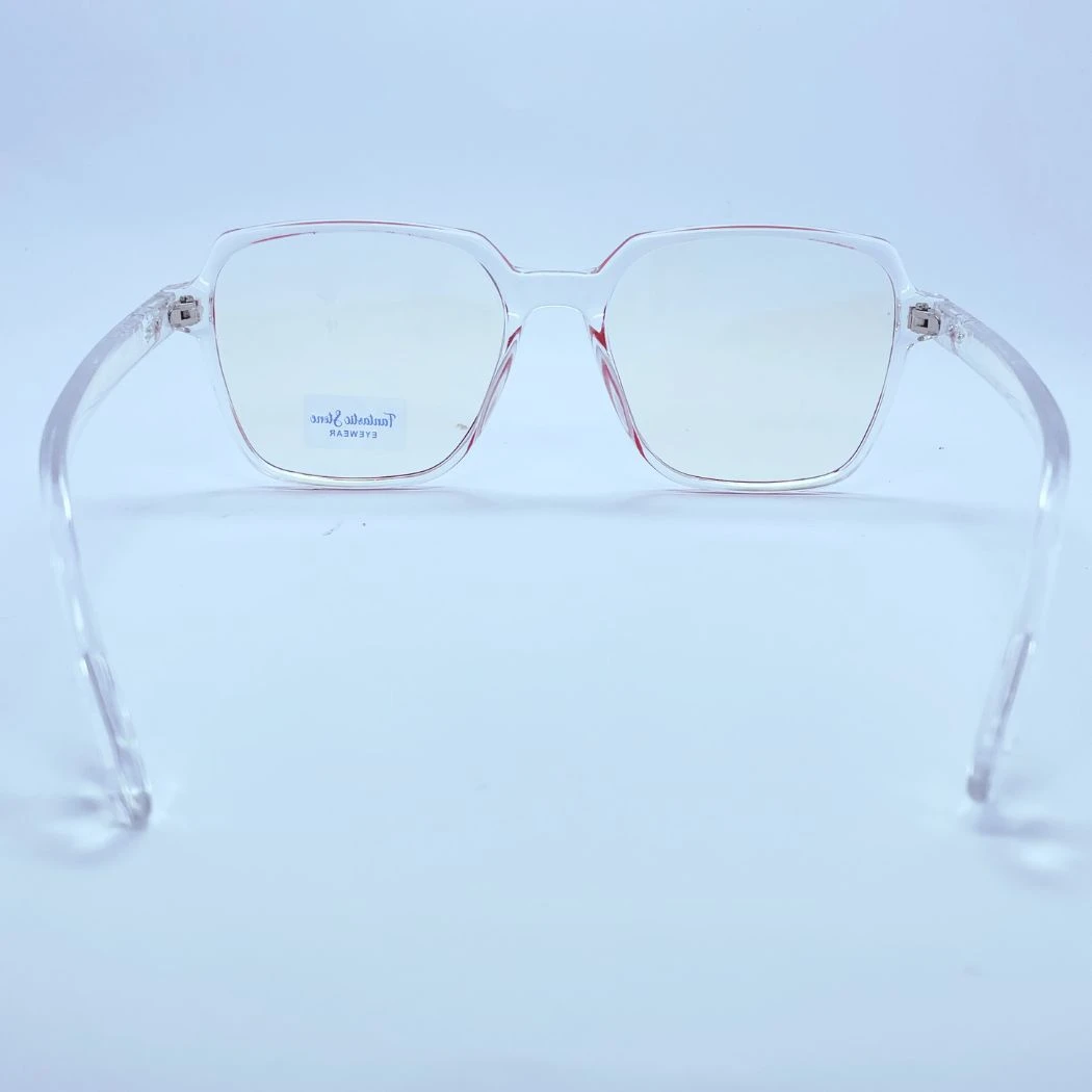 Fantastic stone 20397 eyeglasses in Transparent red – back view