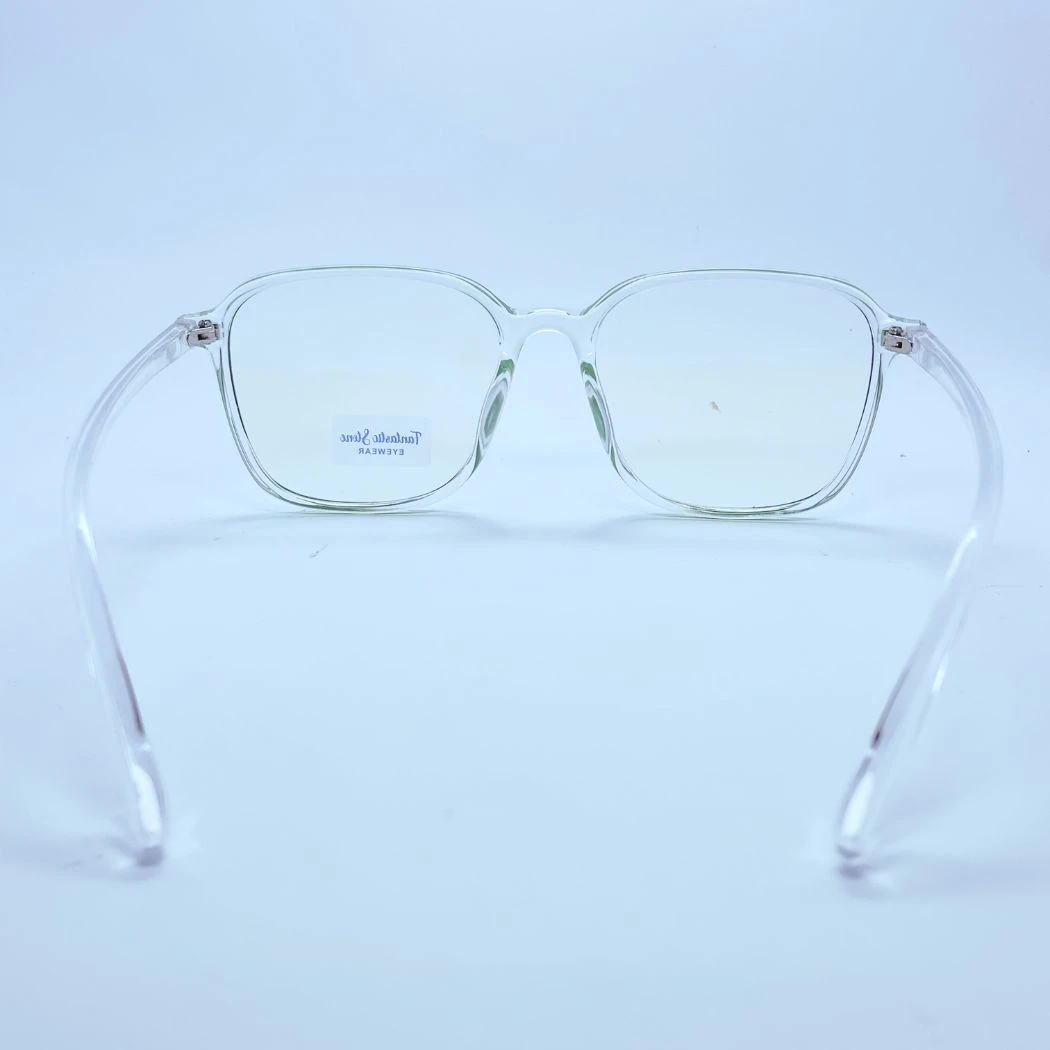 Fantastic stone 20380 eyeglasses in Transparent Green – back view