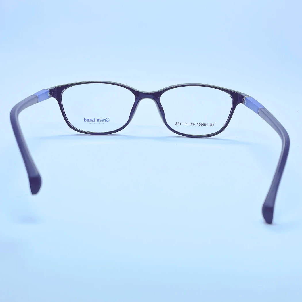 Green Land 5007 eyeglasses in Black and blue – back view