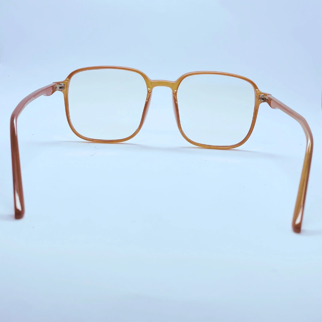 Vision 60144 Eyeglasses in Brown – back view