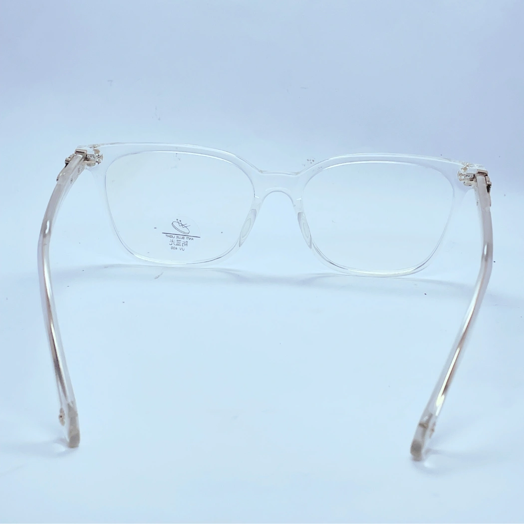 Vision 20221 Eyeglasses in Transparent – back view