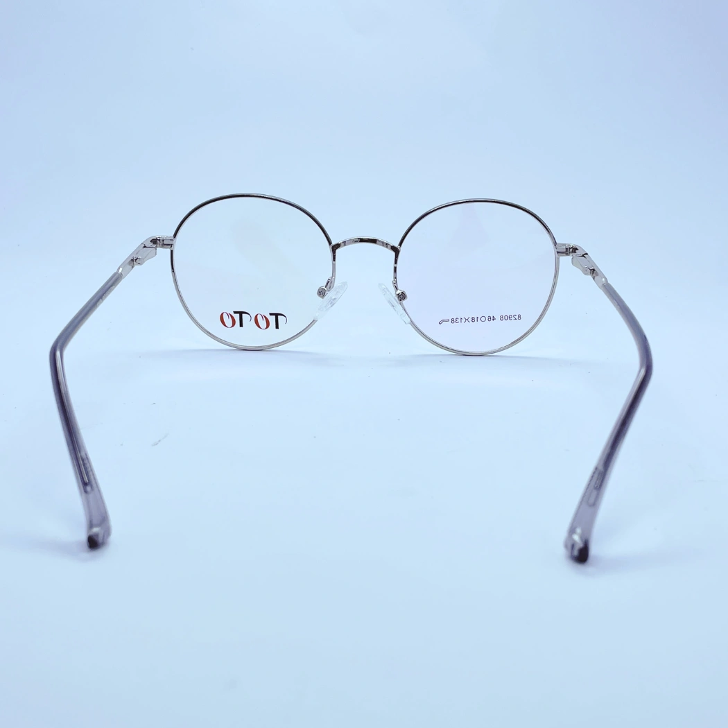 TOTO 82908 Eyeglasses in Silver – back view