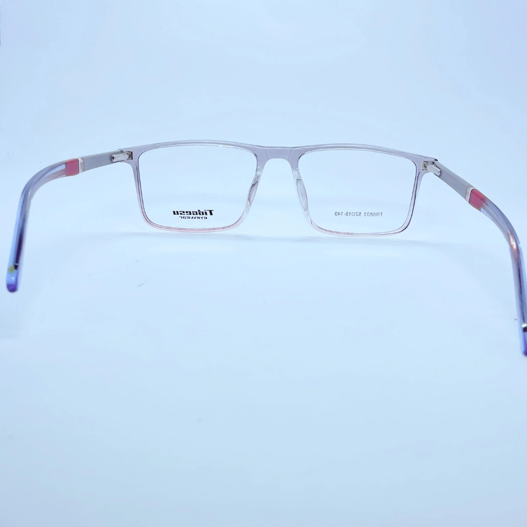 Tidoesu 8803 Eyeglasses in transparent – back view