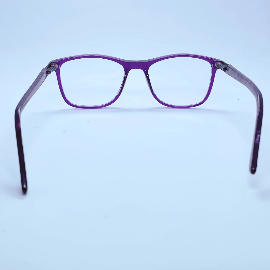 vision 0005 Eyeglasses – Back View (purple) vision 0005 Eyeglasses in purple – back view