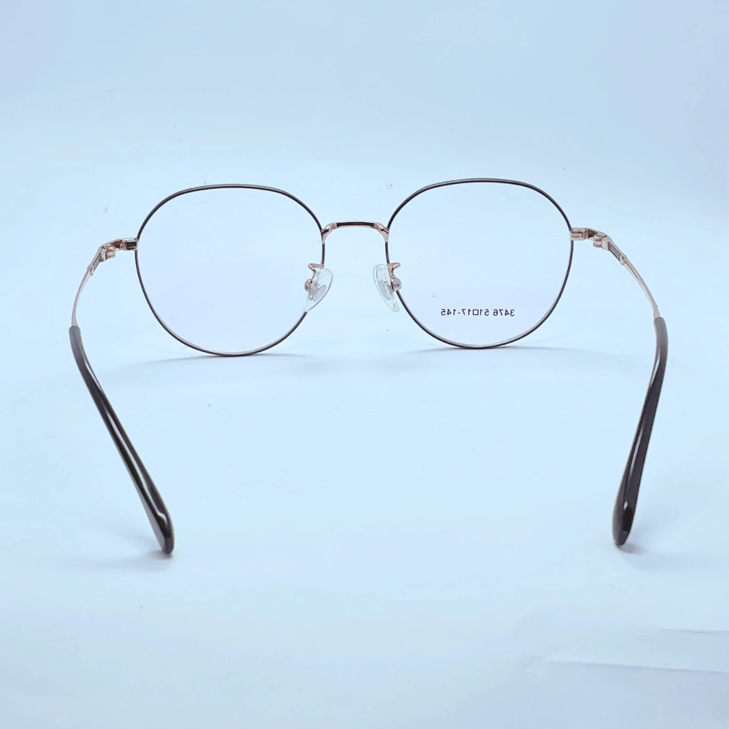 Vision 3476 Eyeglasses in Golden Black – back view