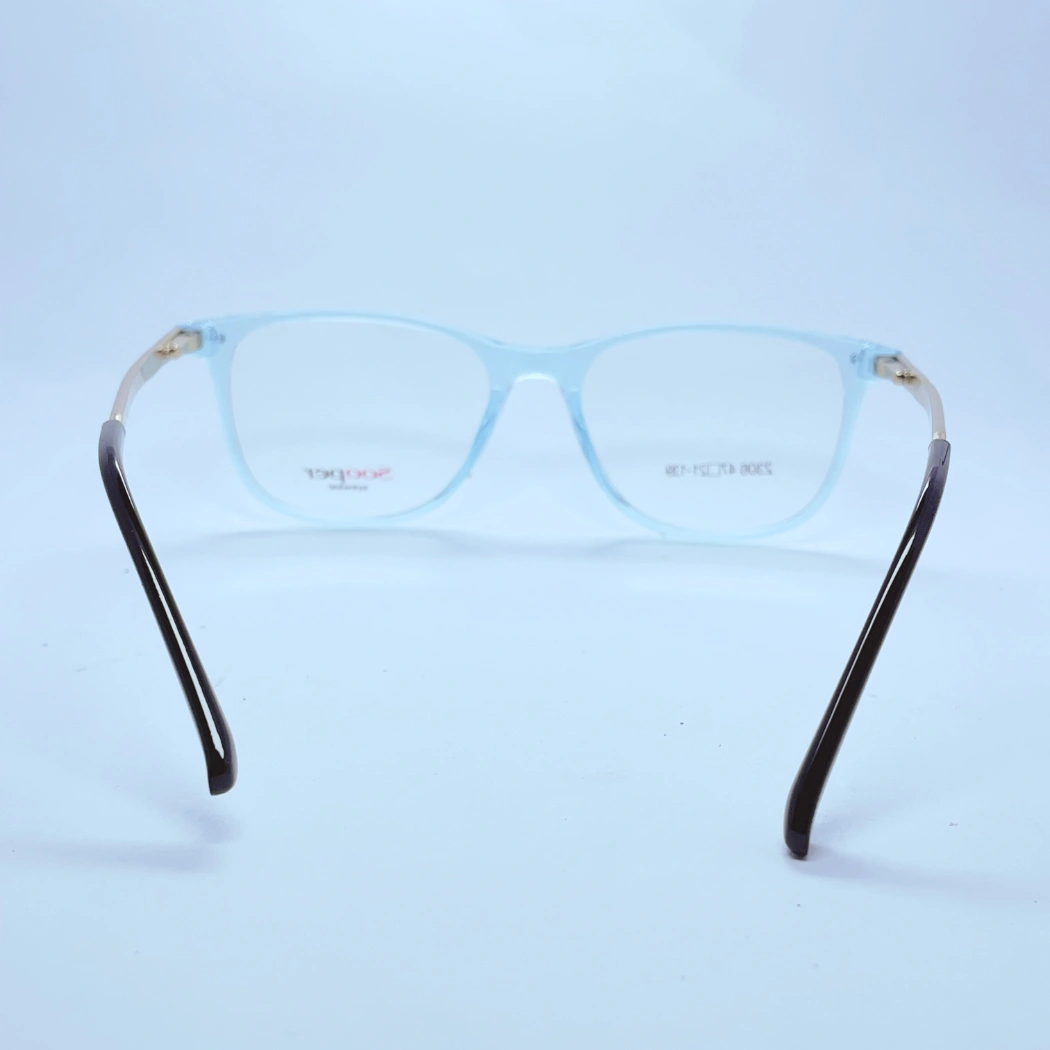 Sooper 2306 Eyeglasses in Blue and golden – back view